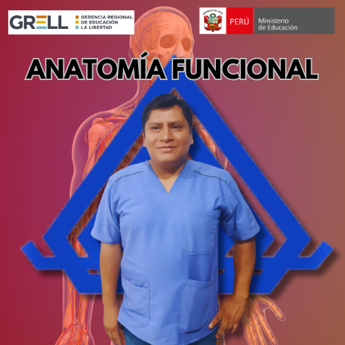 ANATOMIA