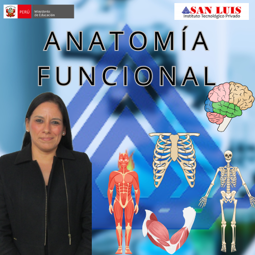 ANATOMIA